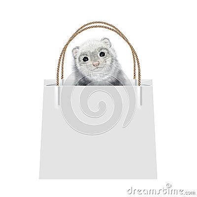 Realistic Ferret Sitting in the Gift Bag. Cute Polecat inside the Shopping Bag. Stock Photo