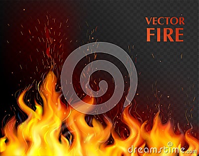 Realistic Fire Flame Background Vector Illustration