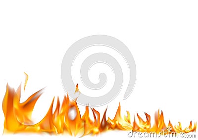 Realistic Fire Flames on White Background Vector Illustration