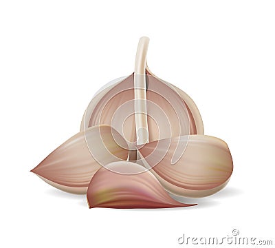 Realistic fresh garlic composition Vector Illustration