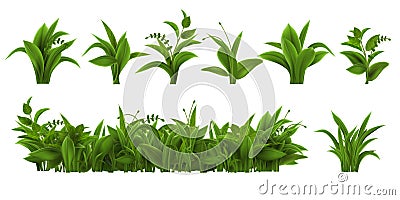Realistic fresh green grass, weed and herb leaves. Spring plant tufts and bushes. Summer field, garden lawn or meadow Vector Illustration