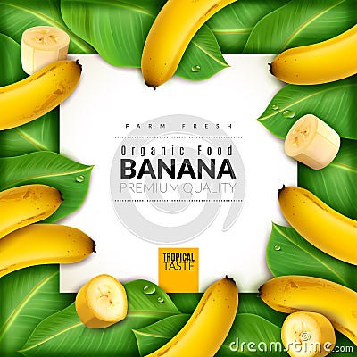 Realistic fruit banana poster. In the center of the banner with bananas, slices and leaves around Vector Illustration