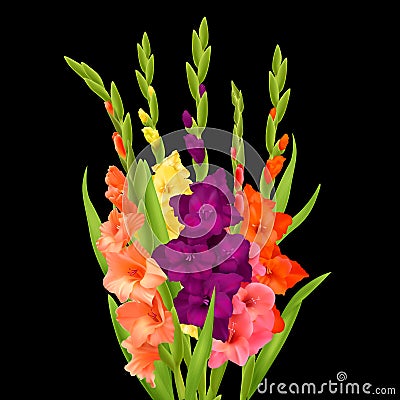 Realistic Gladiolus Flowers Vector Illustration