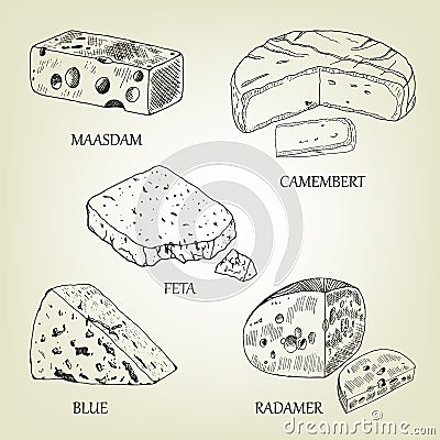 Realistic graphic cheese collection. Vector illustration. Vector Illustration