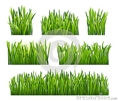 Realistic grass of lawn or field Vector Illustration