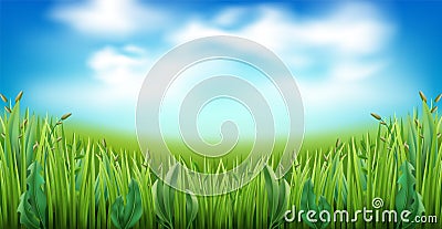 Realistic green grass with clouds on blue sky background. Garden lawn stripe, meadow herbs, field panorama, fisheye Vector Illustration