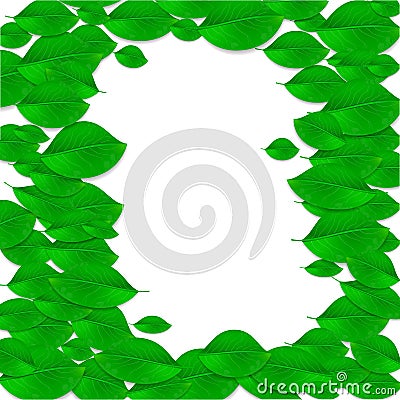 Realistic green leaves frame. Ecology concept. Poster. Vector Cartoon Illustration