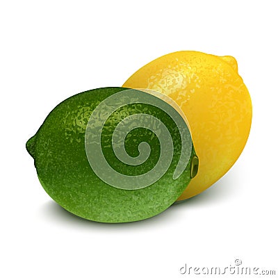 Realistic green yellow lime, lemon. 3d Vector illustration Vector Illustration