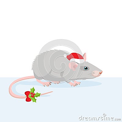Rat Year Chinese Calendar. Realistic Grey Rat In Christmas Hat Vector Illustration. Vector Illustration