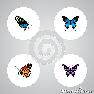 Realistic Hairstreak, Polyommatus Icarus, Common Blue And Other Vector Elements. Set Of Butterfly Realistic Symbols Also Vector Illustration