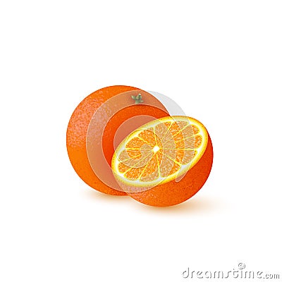 Realistic half cut and whole orange. Vector Illustration