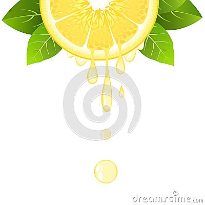 Realistic half lemon slice with leaves and drops of juice. Juicy fruit. Fresh citrus design on white vector illustration Vector Illustration