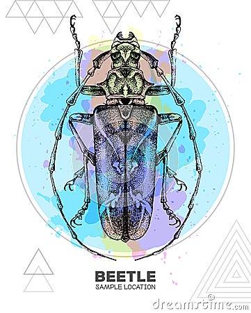 Realistic hand drawing longhorn beetle on watercolor background. Artistic Bug. Entomological illustration Vector Illustration