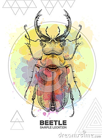 Realistic hand drawing stag beetle on watercolor background. Artistic Bug. Entomological illustration Vector Illustration