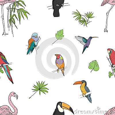 Realistic hand drawn colorful seamless pattern of beautiful exotic tropical birds with palm leaves. Flamingos, cockatoo Vector Illustration