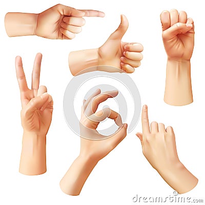 Realistic hand. Various gestures human hands, ok, thumb up and pointing finger, pinch. Optimistic arm gesture Vector Illustration