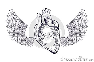 Realistic heart with wings drawn tattoo icon Vector Illustration