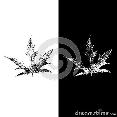Realistic herbal silhouettes Vector Illustration