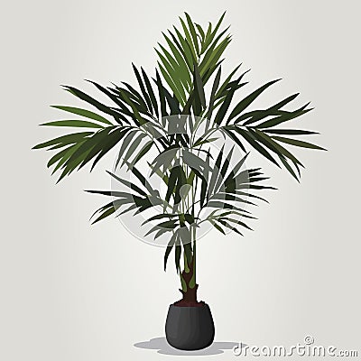 Realistic houseplant vector in bowl isolated on white blackground. Vector Illustration