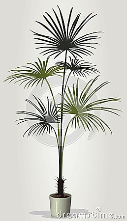 Realistic houseplant vector in white pot Vector Illustration