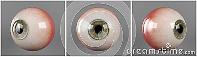 Realistic human eyeballs green iris pupil Stock Photo