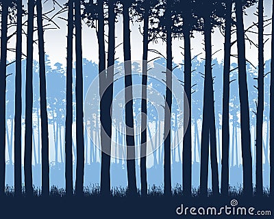 Realistic illustration of landscape with coniferous forest with pine trees under blue sky, vector Vector Illustration