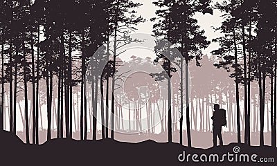 Realistic illustration of landscape with coniferous forest with pine trees under retro sky. Man hiker with backpack on a trip or Vector Illustration