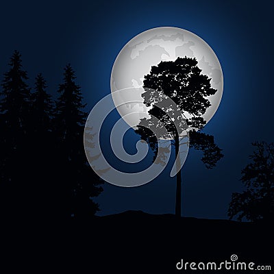 Realistic illustration of a landscape with coniferous trees under a blue night sky with a luminous moon Vector Illustration