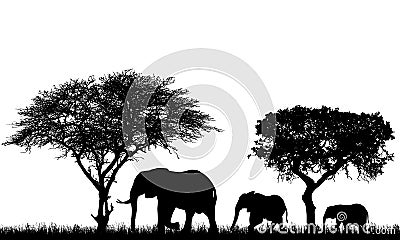 Realistic illustration of landscape with trees in african safari. A family of three elephants with a baby go in the grass, vector Vector Illustration