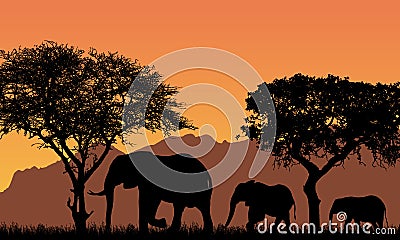 Realistic illustration with silhouettes of three elephants - family in african safari landscape with trees, mountains under orange Vector Illustration