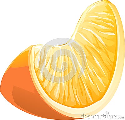 Realistic illustration slice of orange fruit. Cartoon Illustration