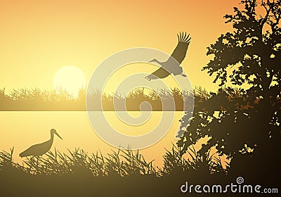 Realistic illustration of wetland landscape with river or lake, water surface and birds. Stork flying under orange morning sky Vector Illustration