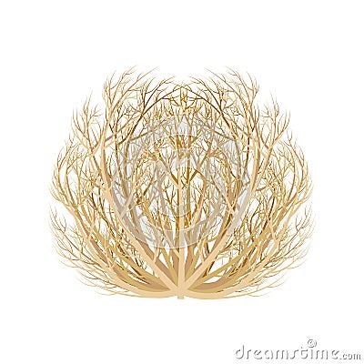 realistic image of tumbleweed dry plant vector illustration isolated on white background. Vector Illustration