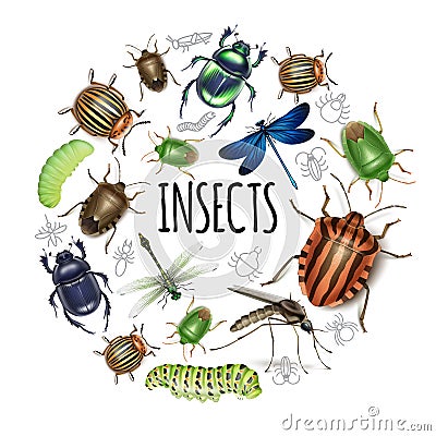 Realistic Insects Round Concept Vector Illustration