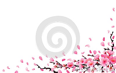 Sakura japan cherry branch Vector Illustration