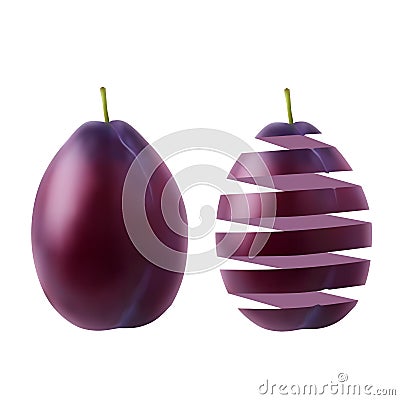 Realistic juicy ripe plum and its peel Vector Illustration