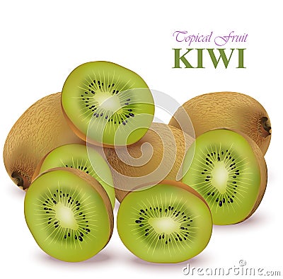 Realistic kiwi Vector isolated on white Stock Photo