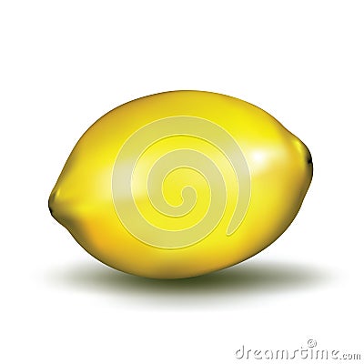 Realistic lemon / isolated vector illustration Vector Illustration