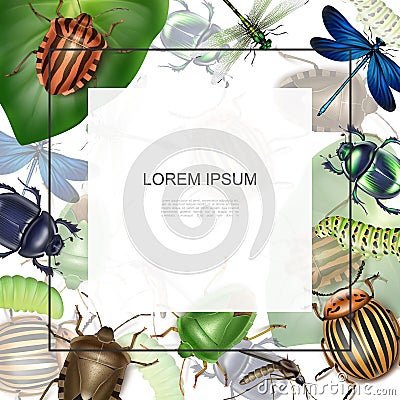 Realistic Macro Insects Template Vector Illustration