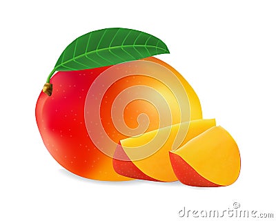 Realistic mango vector iilustration eps 10 Vector Illustration