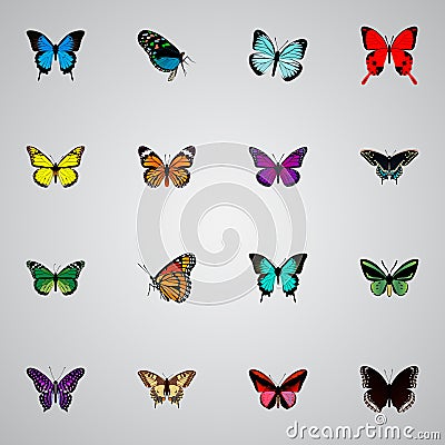 Realistic Milkweed, Morpho Hecuba, Polyommatus Icarus And Other Vector Elements. Set Of Moth Realistic Symbols Also Vector Illustration