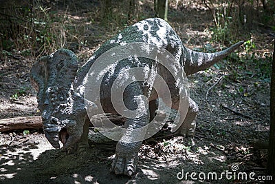 Realistic model of dinosaur Protoceratops Editorial Stock Photo