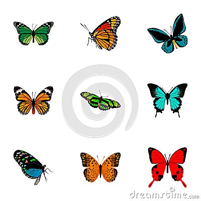 Realistic Monarch, Copper, Danaus Plexippus And Other Vector Elements. Set Of Beauty Realistic Symbols Vector Illustration