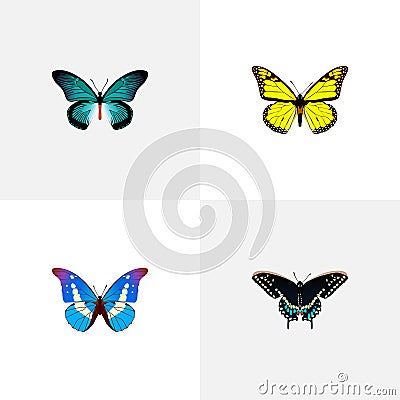 Realistic Morpho Hecuba, Archippus, Bluewing And Other Vector Elements. Set Of Butterfly Realistic Symbols Also Includes Vector Illustration