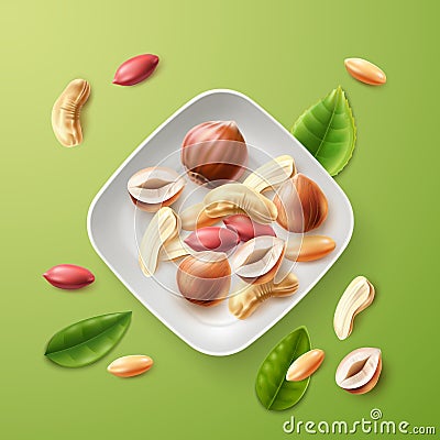 Realistic nuts bowl. Top view plate with natural snacks. Peeled nut kernels mix. Peanuts and cashews. Healthy appetizer Vector Illustration