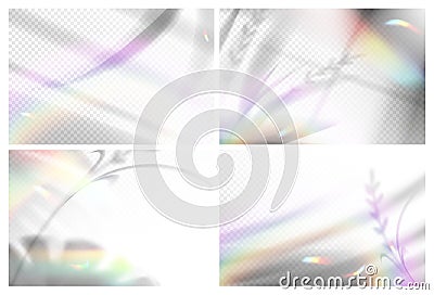 Realistic palm leaf with shadow overlay and blurred rainbow light prism effect Vector Illustration