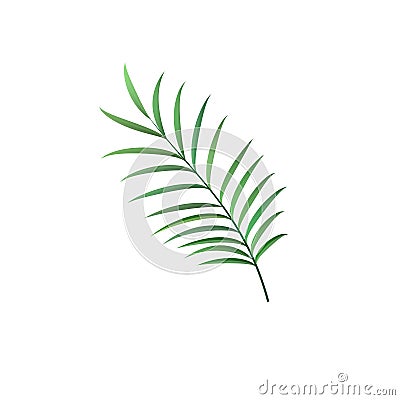 Realistic palm leaf vector isolated sign Vector Illustration