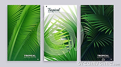 Realistic Palm tree cards set Stock Photo