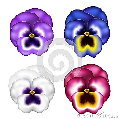 Realistic pansy flower set with different colors, for spring Vector Illustration