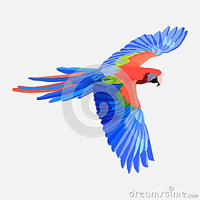 Realistic parrot exotic bird, macaw parrot Amazon bird picture f Stock Photo